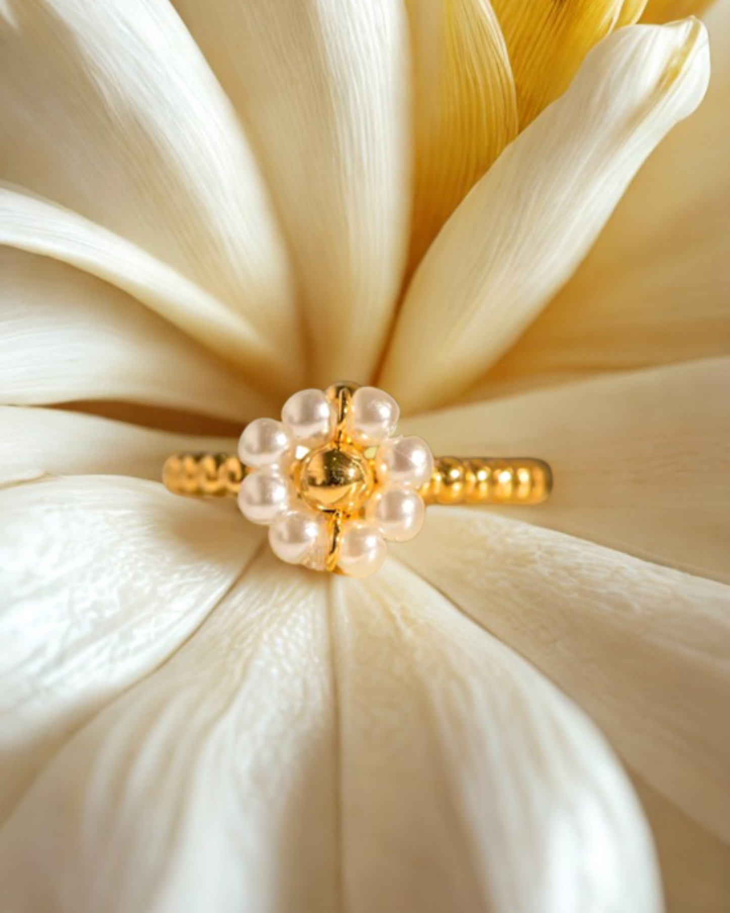 BAGUE ROSA